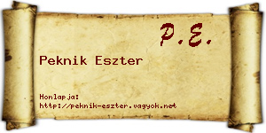 Peknik Eszter névjegykártya